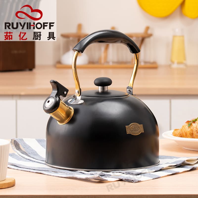 European-style Whistling Kettle Premium Household Kitchen High-Quality Handle Stainless Steel Boiling Kettle 2.5L Black Whistling Pot