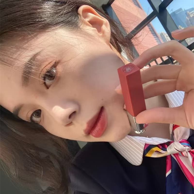 New cross-border Dijia charming lip dye that lasts and is not easy to remove makeup 421 cinnamon milk tea 541 red brown lip glaze