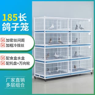 Encrypted Pigeon Cage Pairing Cage Racing Pigeon Ornamental Pigeon Breeding Cage Public Loft Observation Cage Pigeon Loft Pigeon Cage