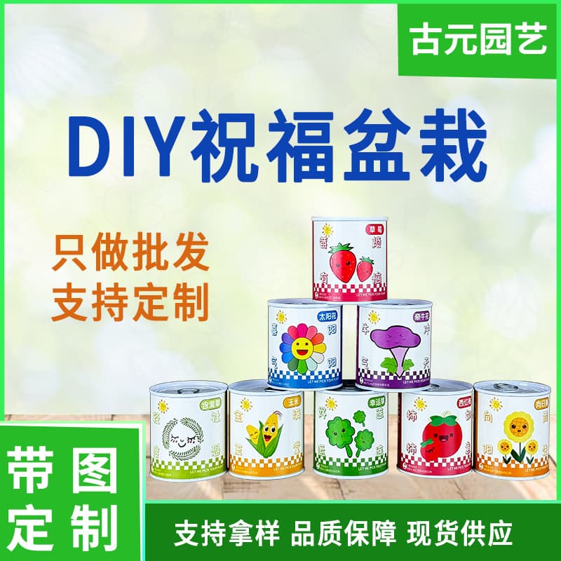 Custom Graduation Gift DIY Children's Blind Box Potted Plant Office Greenery Mini Desktop Planting Pot