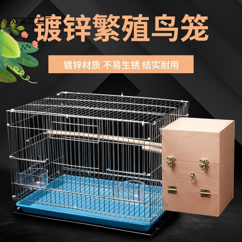 Budgie bird cage medium and large electroplated peony black phoenix starling bold breeding large metal breeding bird cage