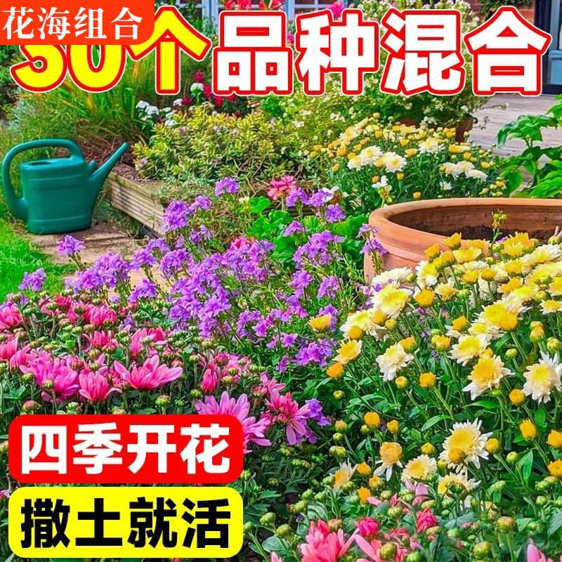 Wildflower Mix Seeds, Four-Season Blooming, Cosmos, Coreopsis, Garden & Outdoor Flower Seeds