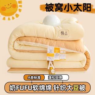 Baby-Grade A-Class Soybean Cotton Quilt Autumn/Winter Student Dormitory Quilt Core Winter Quilt Warm Knitted Four-Season Bedding