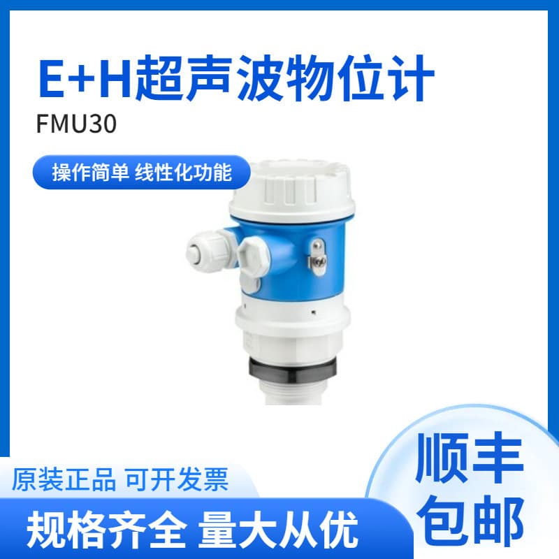 FMU30-AAHEAARGF German E+H Economical Ultrasonic Level Meter