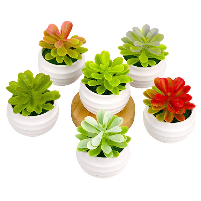 Simulation Succulent Plant Greenery Decoration Apple Leaf Mini Small Ornament Combination Fake Succulent Potted Bonsai Wholesale