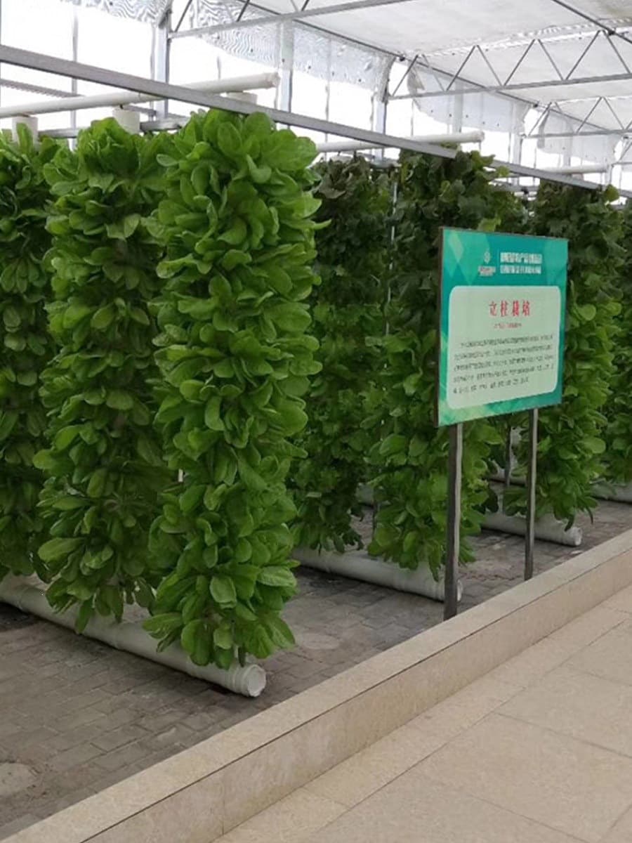 Column planting cup blue household pipeline aerosol machine cultivation equipment soilless cultivation vegetable hydroponic balcony vegetable growing equipment