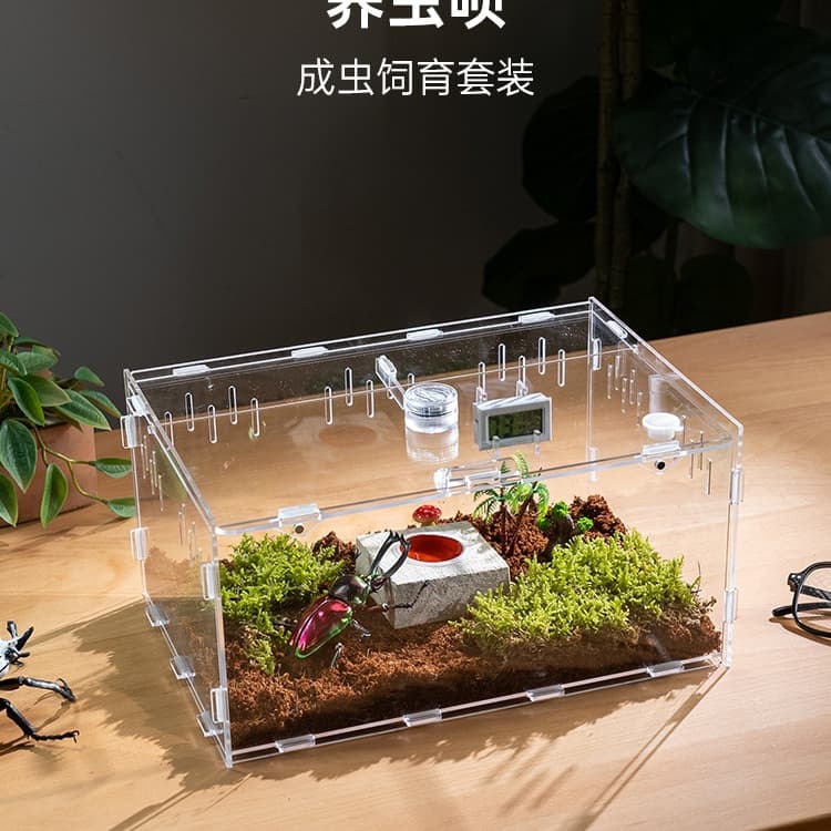 Beetle breeding box transparent acrylic reptile breeding box snail small insect rhinoceros larvae set box