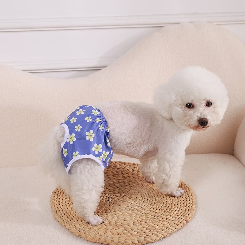 Factory Direct Triangle Print Cute Pet Diaper Pants Dog Diaper Pants Puppy Diaper Pants Cross-Border