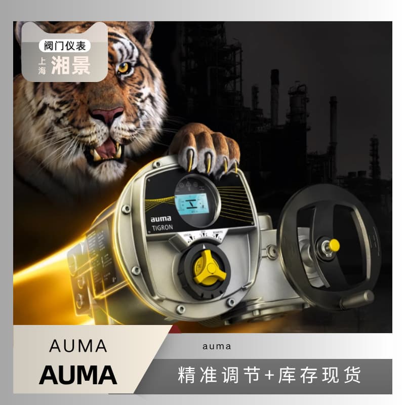 German AUMA Control Unit (Manager Zhao) Xiangjing Electromechanical