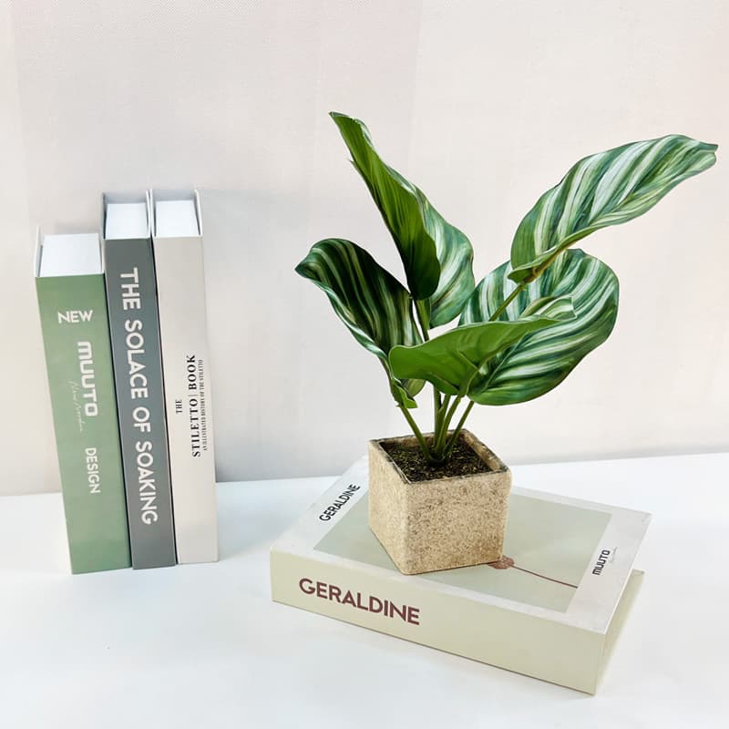 Artificial Calathea Green Apple Leaf Potted Plant, Nordic Indoor Desktop Greenery Decoration for Office, Homestay, Guest Room, Fake Leaves