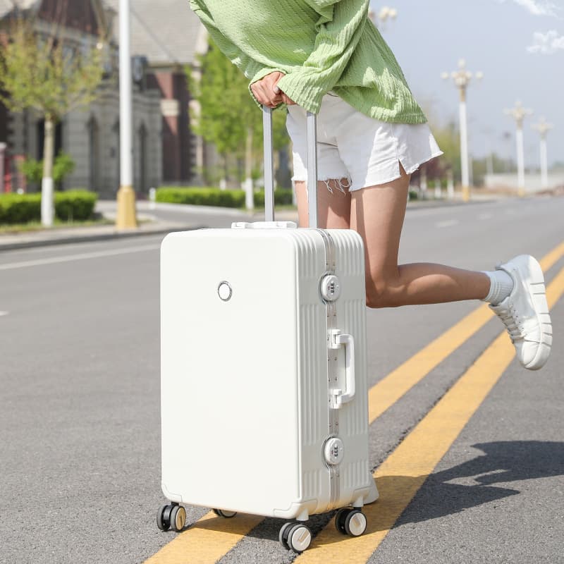 Kangaroo Universal Wheel Trolley Case Password Luggage Men's and Women's Luggage Aluminum Frame Suitcase Luggage