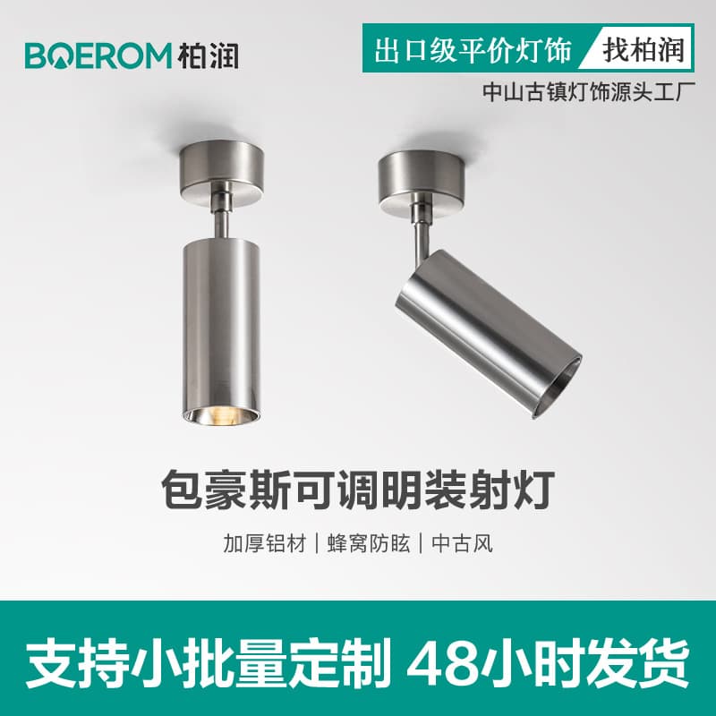 Surface-mounted spotlights, stainless steel, Bauhaus, nickel-plated, adjustable angle, no openings, industrial wind spotlights, commercial mainless lights