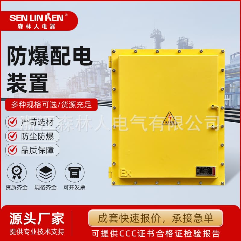 Explosion-Proof Distribution Device, Explosion-Proof Distribution Box PLC Cabinet, Power Lighting Instrument Box, Control Box, Maintenance Socket Box Empty