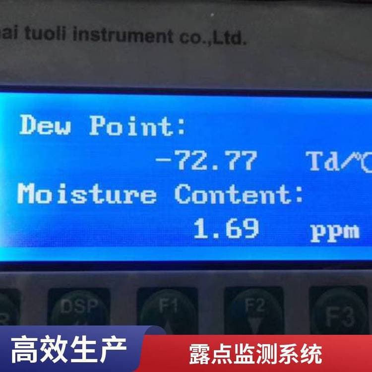 DP900-G Dew Point Meter Accurate Measurement of Moisture Parameters Easy to Use Simple Operation TORRY Brand