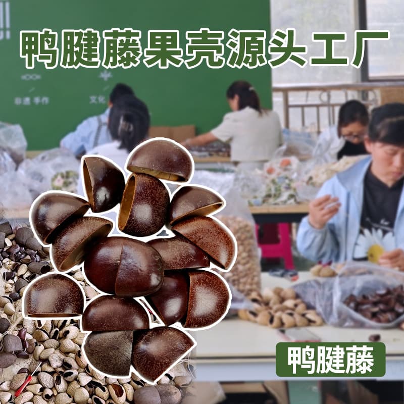 Duck tendon vine fruit shell wind chime hand bell raw material DIY material wholesale factory barbell sound bundle pendant fruit