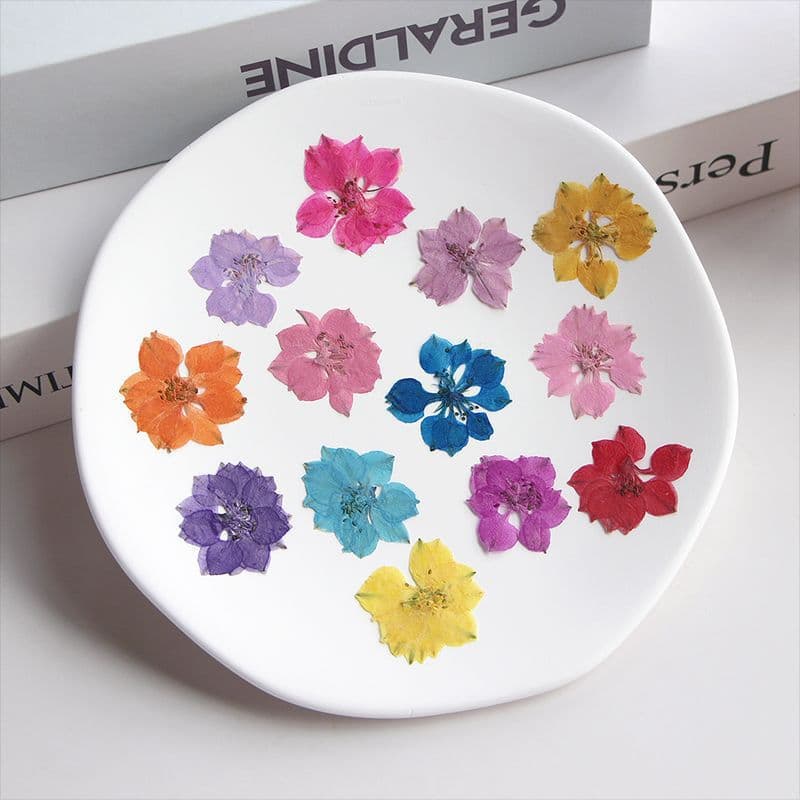 Dyed Delphinium Dried Flower Pressed Plant Specimen Resin Frame Bookmark Candle DIY Pressed Flower Lamp Candle