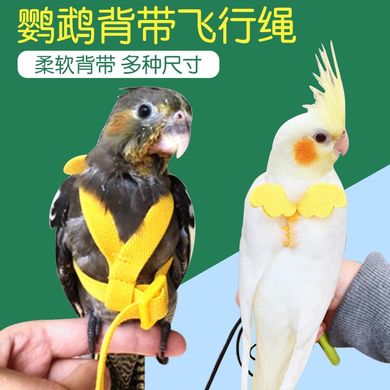 Parrot Flying Rope Ultra-light, Thin, Foot-free, Tiger Skin, Peony, Xuanfeng, Little Angel Strap for Birds Walking Bird Traction Rope