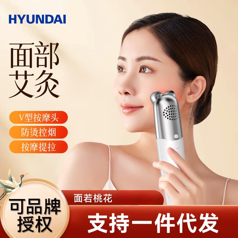 HYUNDAI Facial Moxibustion Device Peach Blossom Moxa Portable Face Eye Massage Vibration Beauty Personal Moxibustion for Home