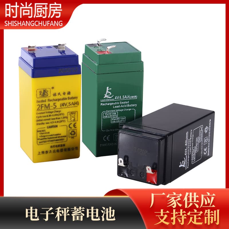 Linshi 4V4AH Universal/ Dedicated Battery for Scales, Commercial Bench Scales 6V4.5A