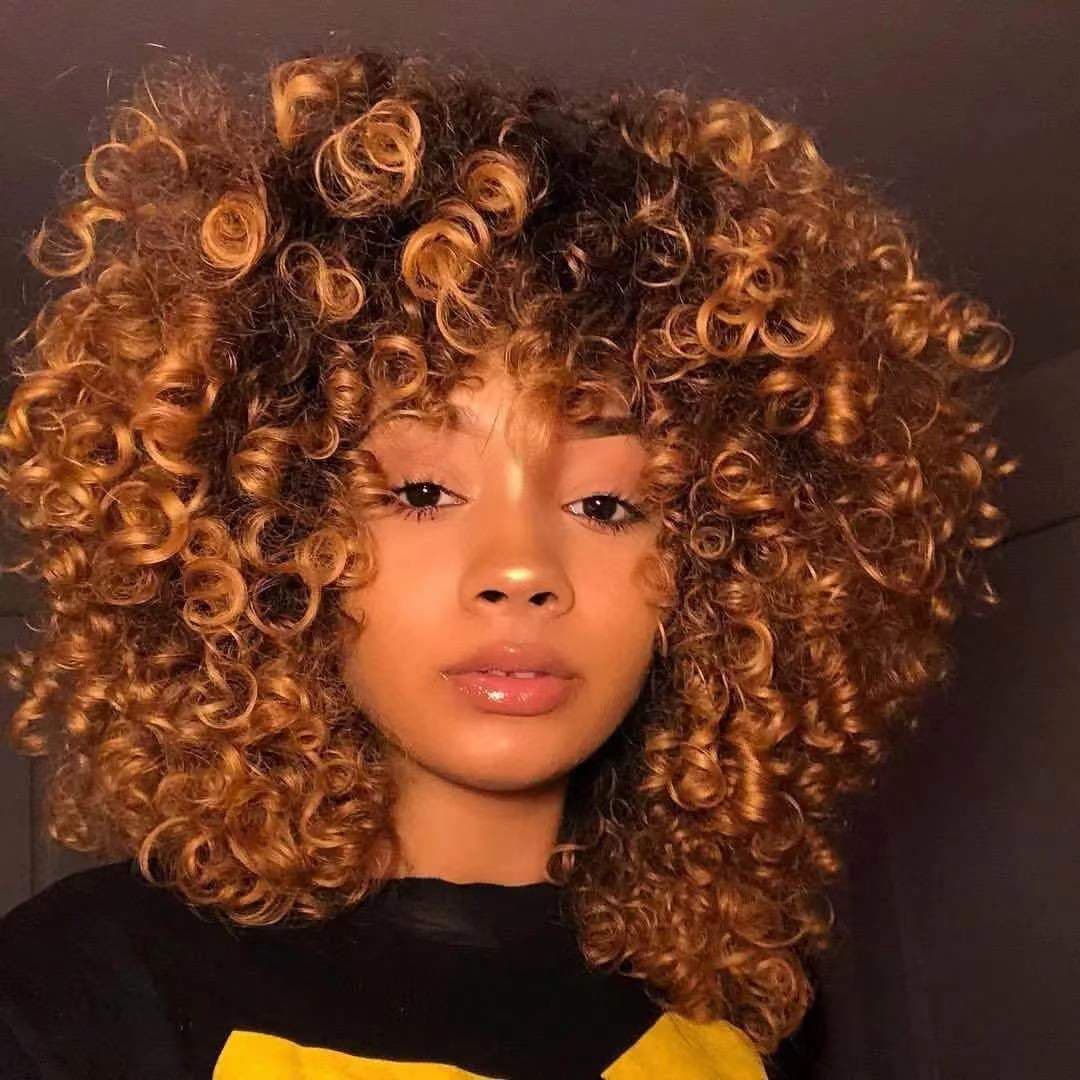 Aliexpress African Small Curly Wigs, Fluffy Short Curly Afro Wigs, Women's Short Curly Hairpieces, Wholesale from Manufacturer