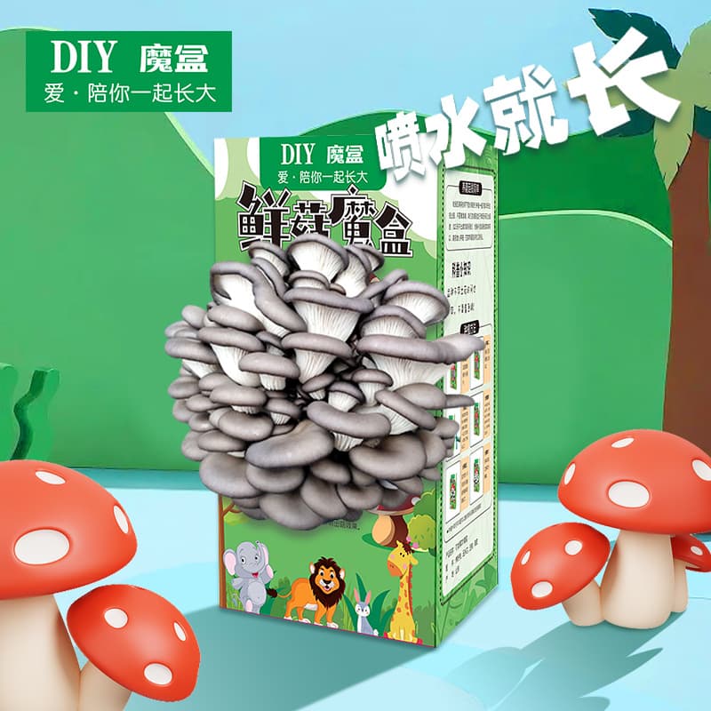 Mushroom kits, planting boxes, plant rewards, succulents, kindergarten gifts for elementary school students.