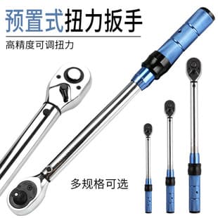 DZT Adjustable Torque Wrench Precision kg Auto Repair Mechanical Tool Torque Wrench