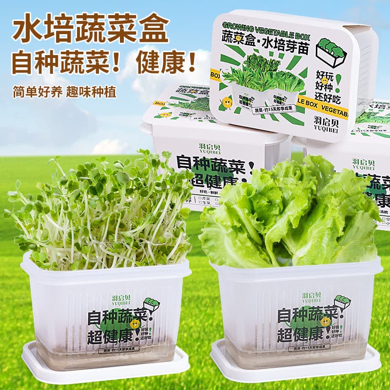 Creative Hydroponic Plant Pot Sprouting Observation Vegetable Growth Box Soil-Free Cultivation for Students and Children