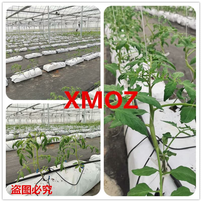 Soilless cultivation bags, in stock, PE new material black and white planting bags, organic substrate strips, for strawberry and tomato cultivation.