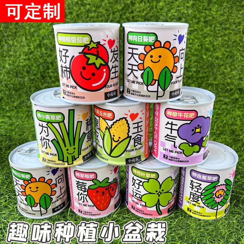 Creative Internet Celebrity Greeting Green Plant Mini Pot in Tin Can, Desktop Plant Decoration for Students, Easy to Grow