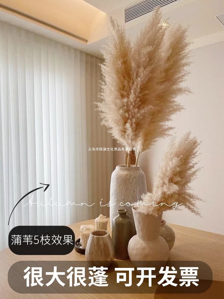 Dried Reed Bouquet, Natural Real Flowers, Living Room Decoration, Bulrush Large Spike, Natural Floor Indoor Decor, Artificial Flowers