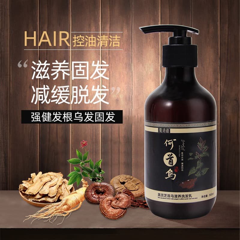 Polygonum Multiflorum Shampoo, Hair Wash, Oil Control Shampoo, Herbal Extract Anti-Dandruff Shampoo, Drop Shipping