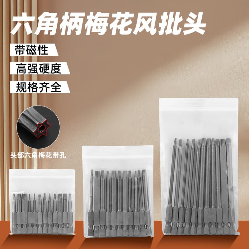 Cross-border 11pcs Hex Shank Hollow Star Bit Set Strong Magnetic Sandblasted Screwdriver Bits