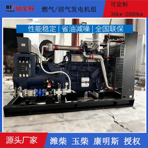 Stable Power Supply 250kw 300kw Gas Generator Set Oil Field Mining Natural Gas Biogas Generator Set