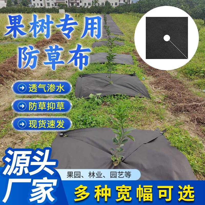 Factory Direct Weed Barrier Fabric Green Black Ground Cover for Orchards and Fruit Trees Agricultural Anti-Aging Thickened Permeable Weed Control Cloth