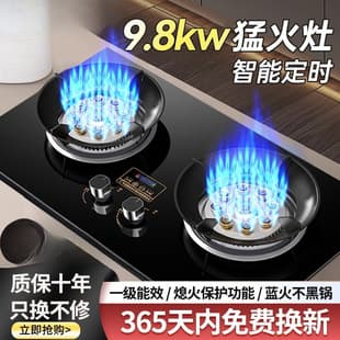 Gas Stove Double Burner Household Desktop Liquefied Gas Coal Gas Stove Natural Gas Embedded Energy-Saving High-Fire Gas Stove