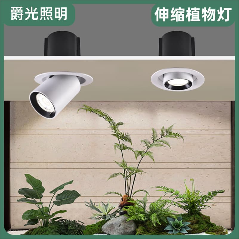 Recessed full spectrum adjustable plant fill lights for indoor green plant landscape lighting