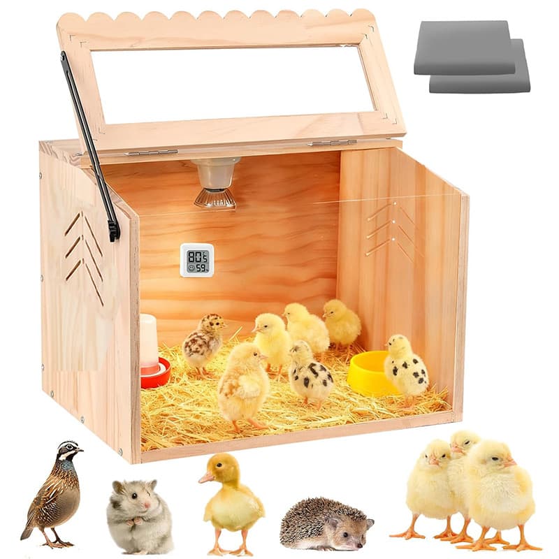 Trending Lutino Chicken Pet Breeding Box Insulated Chick Cage Brooding Scenic Wooden Lutino Chicken Cage