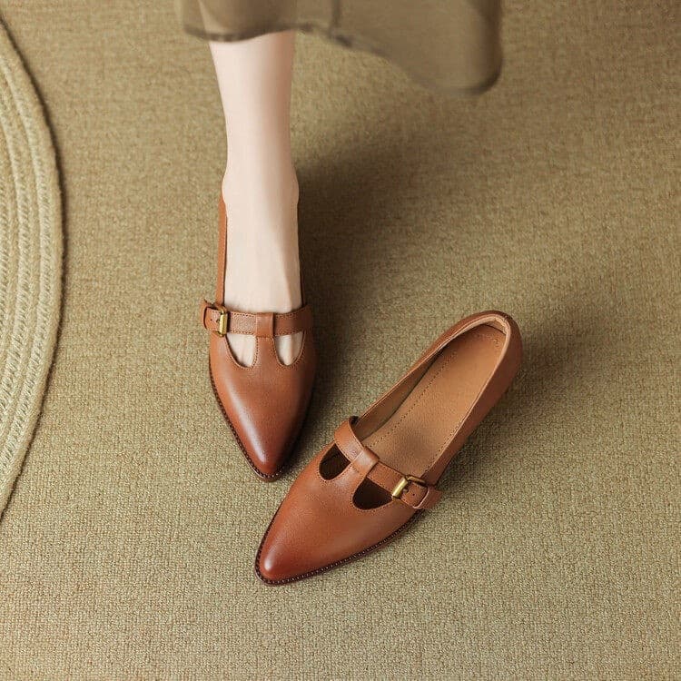 Chuyuji Retro Pointed Toe Shoes for Spring and Fall Chunky Heel Leather Shoes Versatile T-Strap Shoes Ultra-Soft Mid Heel Women