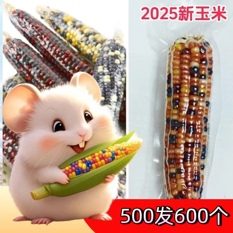 25-Year Mini Corn for Hamster Chewing, Golden Hamster, Rabbit, Chinchilla, and Fancy Rat Chew Toy