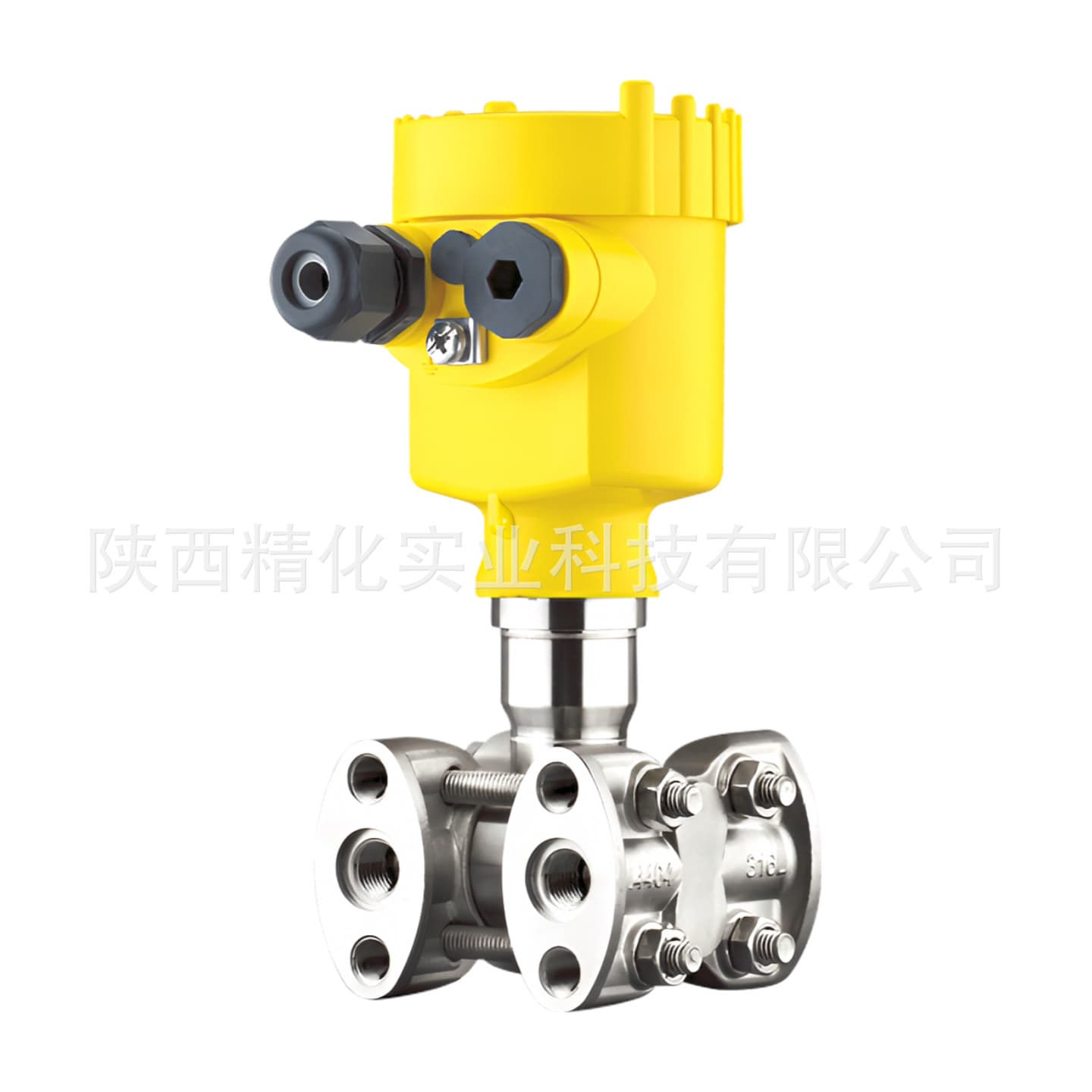 Original Industrial CSS Differential Pressure Chemical Seal for Industrial Applications