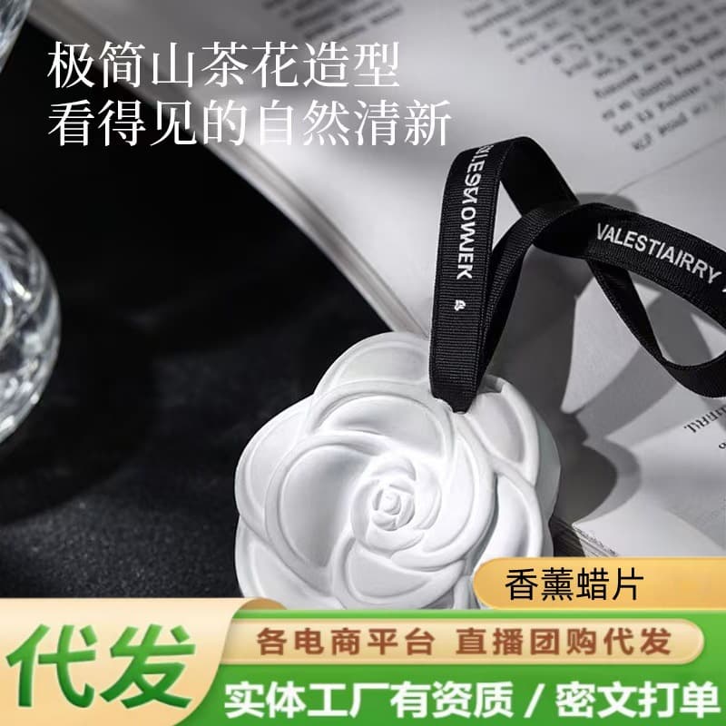 Camellia Scented Wax Discs for Bedroom Wardrobe, Gypsum Wax Blocks, Car Fragrance Hangers, Deodorizing Wall-mounted Pieces