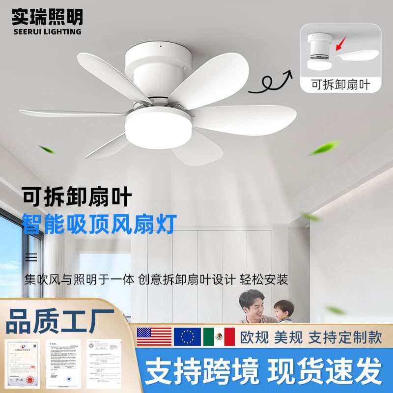 Cross-border E27 Ceiling Fan Light, Small Household Electric Fan Light, Silent Ball Fan Pendant Light for Bedroom Living Room