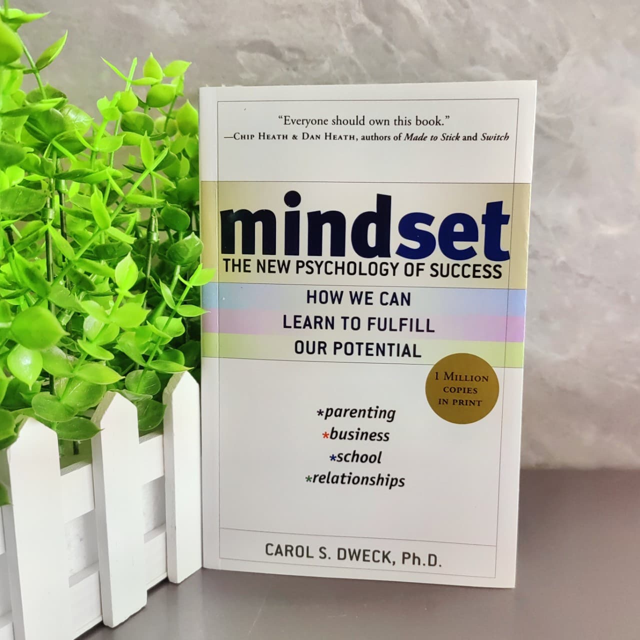 Mindset: The New Psychology of Success