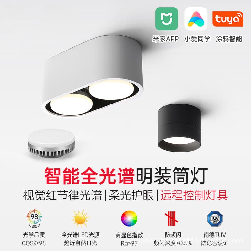 Downlight Double Head Track Light LED Box Light GX53 Round Corridor Balcony Living Room No Main Light Dimmable High Color Rendering