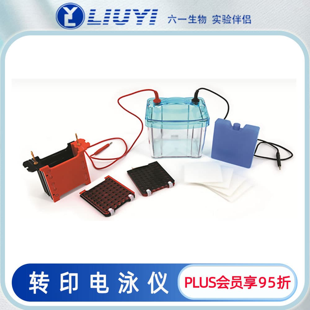 Beijing Liuyi Transfer Electrophoresis Apparatus DYCZ-40G for WB Experiments, Compatible with DYCZ-25D