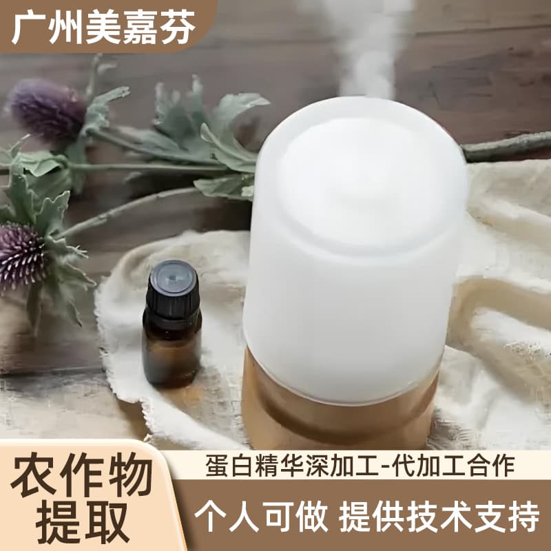 Handicraft Outsourcing Processing Raw Material Deep Processing Project Cooperation Agent Technical Support Cooperation Outsourcing Project Cooperation