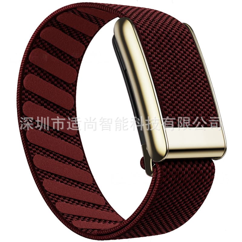 Compatible with Whoop 5.0 Nylon Elastic Band, Whoop Strap with Silver-Gold Frame, 5.0 Model, Cross-Border Wholesale