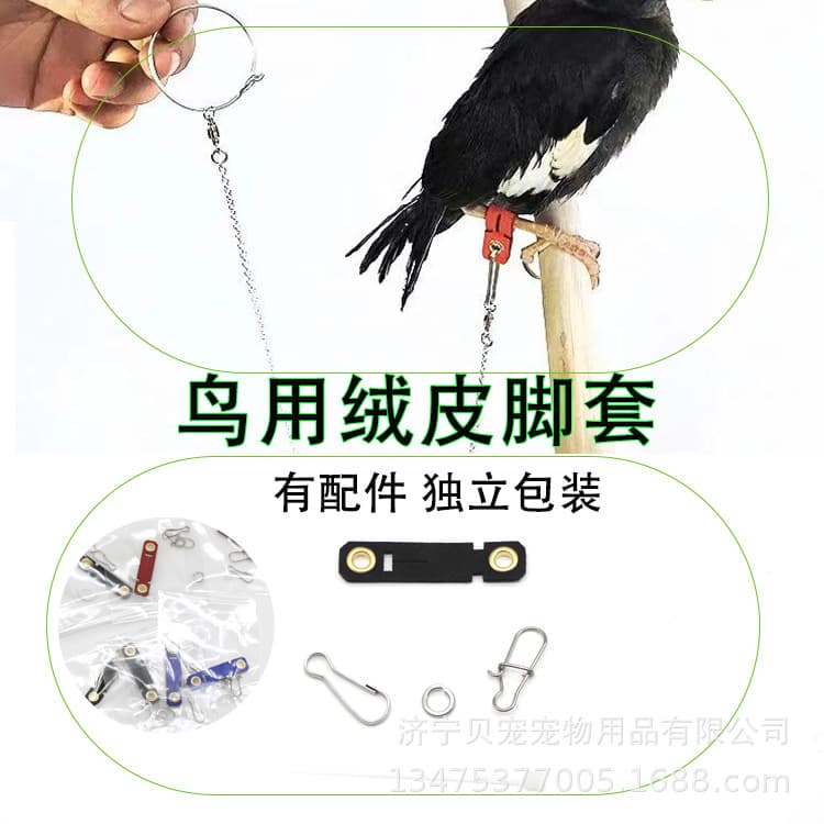 Open leg rings for myna, parrot, magpie, pigeon, red-billed blue magpie, shrike, hill myna, suede leg cuffs, non-injurious