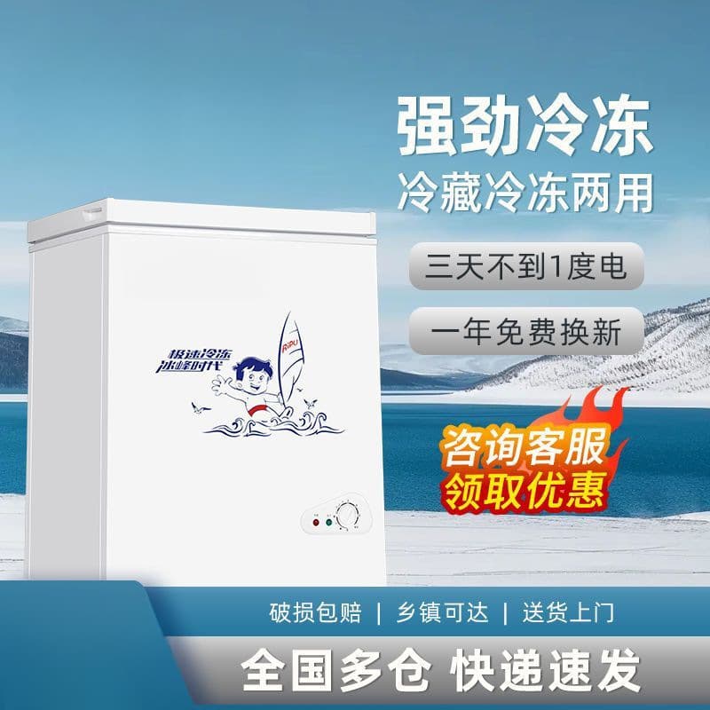 First-Class Energy Saving Small Freezer, Compact Full Freezer & Refrigerator Dual-Use Mini Frost-Free Commercial Freezer