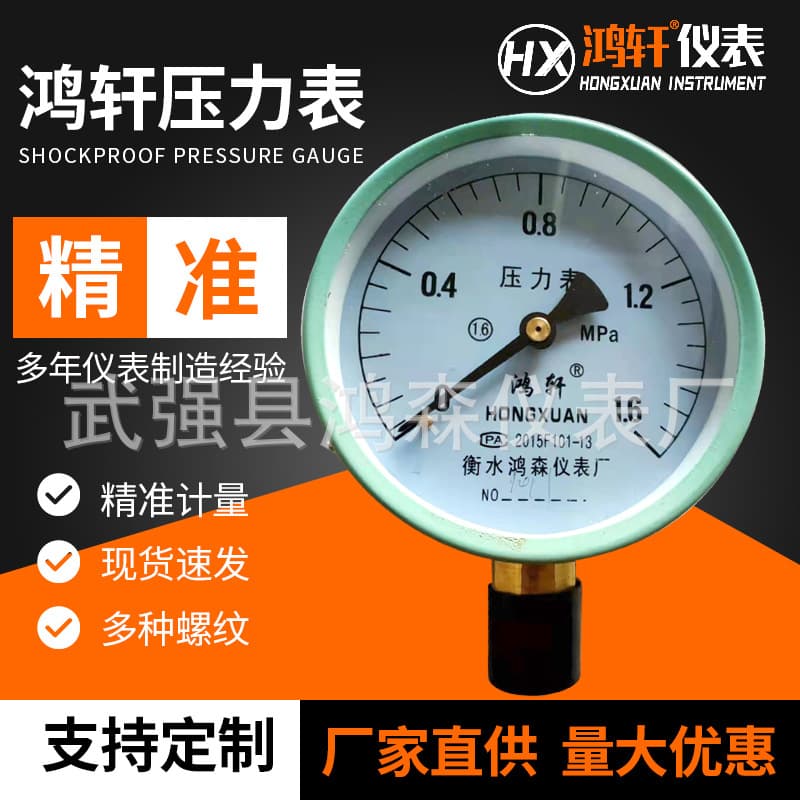 Y-100 1.6MPa General Pressure Gauge, Radial, for Water, Oil, Air, Vibration-Resistant, Diaphragm Box